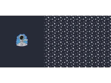 Baumwolljersey Panel ca. 66 cm Astronaut